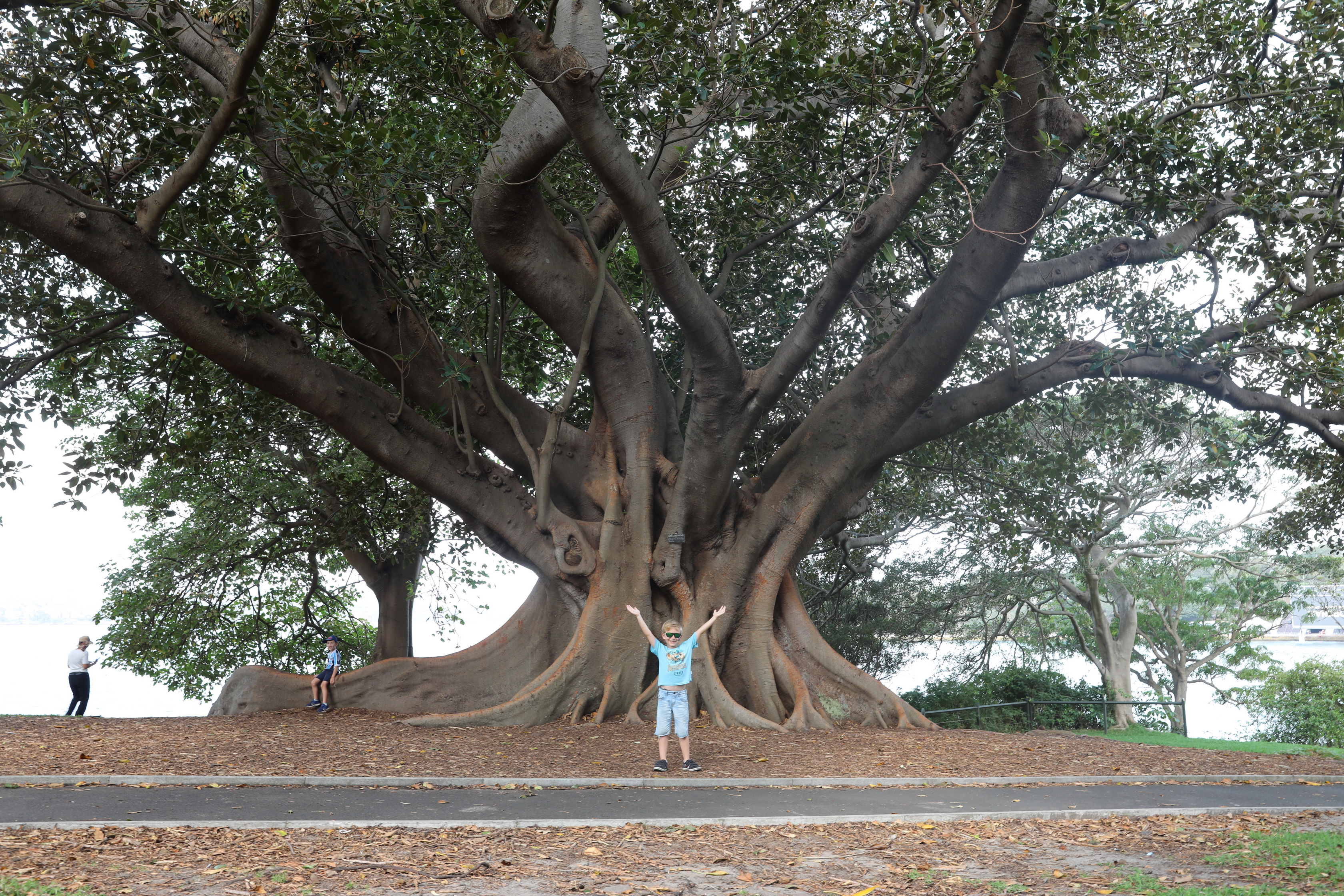 Der Botanischen Garten und was Sydney sonst zu bieten hat